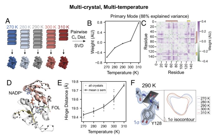 greisman2024perturbative.jpg