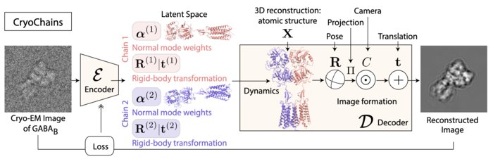 koo2023cryochains.jpg